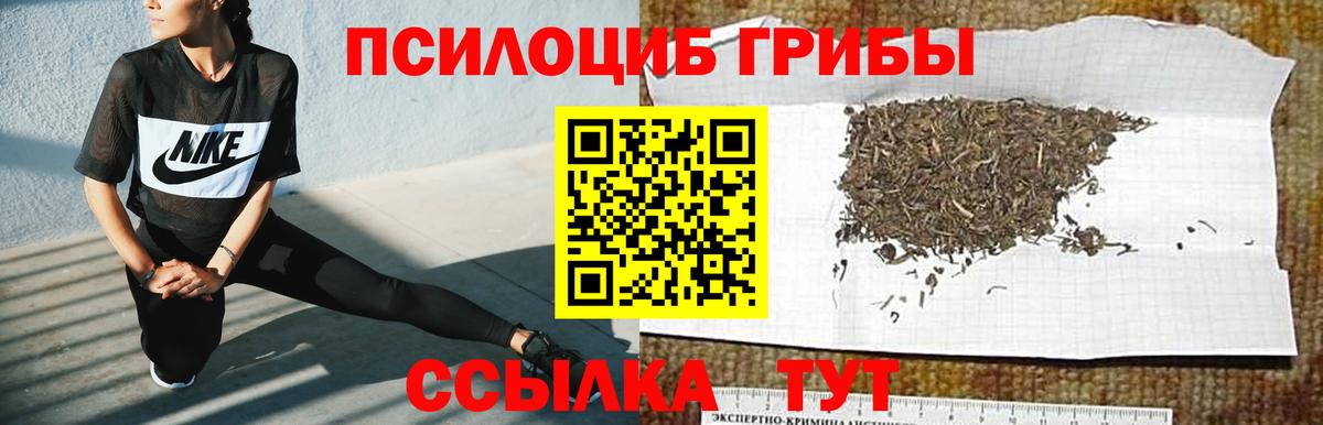 Галлюциногенные грибы мухоморы  Вход с VPN  Псилоцибиновые грибы прущие грибы  Сатка 